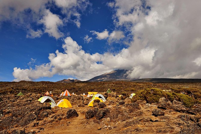 Kilimanjaro climb, Rongai Route (6-day) - Moshi arrival day: airport transfers, hotel reset, and a real briefing