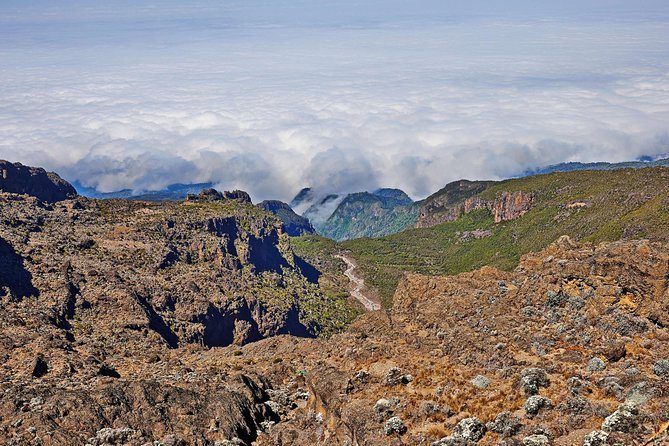 Kilimanjaro climb, Rongai Route (6-day) - Day 3 to Kikilewa Camp: Kibo views risk and a harder physical day