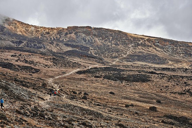 Kilimanjaro climb, Rongai Route (7-day) - Rongai Up Kilimanjaro: What Makes This Route Feel Different