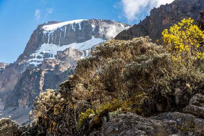 Kilimanjaro climb, Rongai Route (7-day) - Simba Camp to Second Cave, Then a Kikilewa Acclimatization Loop