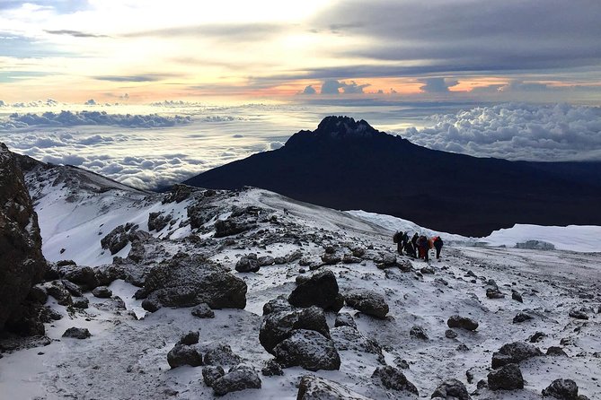 Kilimanjaro climb, Rongai Route (7-day) - Nalemuru Gate to Simba Camp: Northern Forest and a Steady First Gain