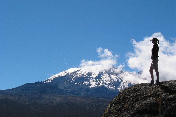Kilimanjaro Climb & Safari - Lemosho Route - 13 Day - Days 6 to 8: Lava Tower altitude, Barranco Wall effort, and Barafu camp ice