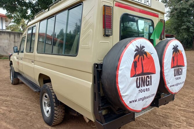 Kilimanjaro climb via Marangu Route 6Days - The 6-day rhythm: Mandara, Horombo, and Kibo huts in real life