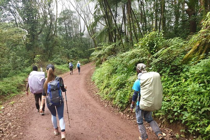 Kilimanjaro Climbing 5 days Marangu route - Guides, chefs, and porters: the support you feel most on hard days
