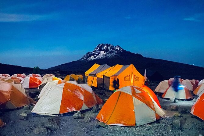 Kilimanjaro Climbing Lemosho Route 8 Days. - Londorossi Gate to Mti Mkubwa Camp: rainforest hiking to your first camp