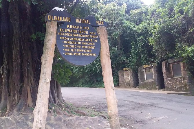 Kilimanjaro Day Hike - The return hike: what you gain by not rushing