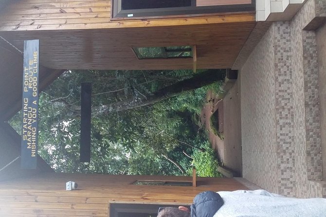 Kilimanjaro Day Hike - What to bring and how to prep for this Kilimanjaro day trek