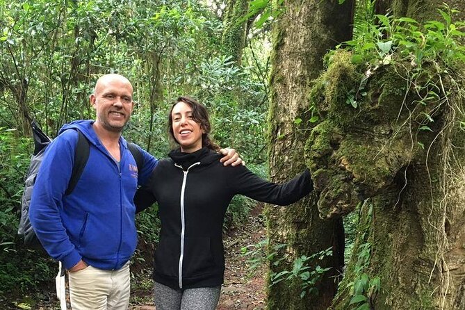 Kilimanjaro Day Hike - Who this Kilimanjaro day hike is best for