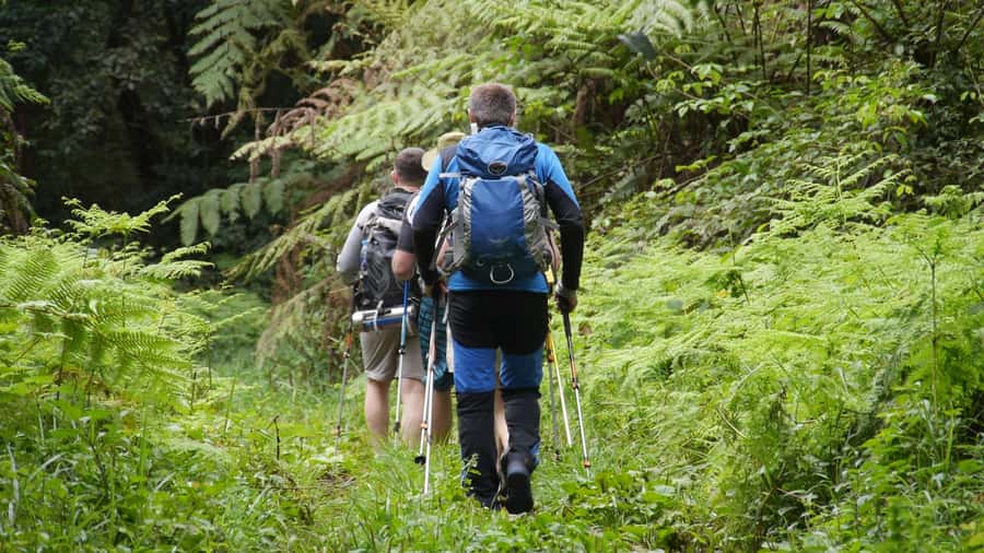 Kilimanjaro: Day trip -hike to Mandara Hut Kilimanjaro 2700m - Key things that make this Mandara Hut day trip worth your time