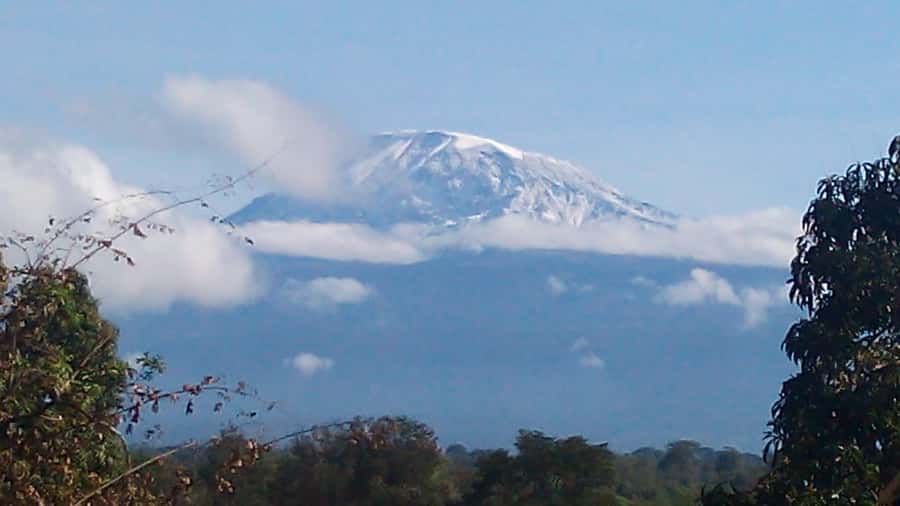 Kilimanjaro: Day trip -hike to Mandara Hut Kilimanjaro 2700m - Marangu Gate to Mandara Hut, a one-day altitude push