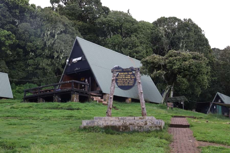 Kilimanjaro: Day trip -hike to Mandara Hut Kilimanjaro 2700m - Maundi Crater viewpoint, why the side trip matters