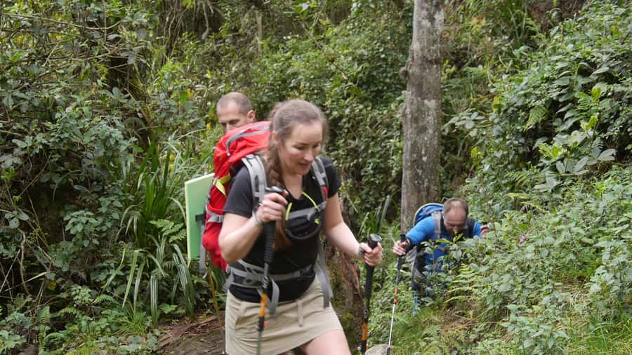Kilimanjaro: Day trip -hike to Mandara Hut Kilimanjaro 2700m - Rainforest trail details, monkeys, birds, and eucalyptus