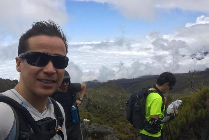 Kilimanjaro Experience 7 Days Lemosho route - Quick hits you can actually use