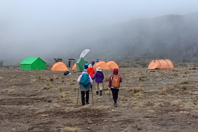 Kilimanjaro Experience 7 Days Lemosho route - Lemosho Route: Why this plan works for most hikers