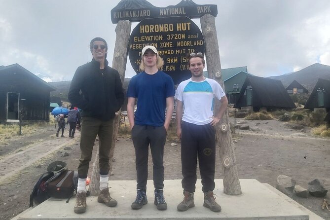 Kilimanjaro Lemosho Route - From Springlands to Mti Mkubwa Camp, You Start With Work That Feels Fair