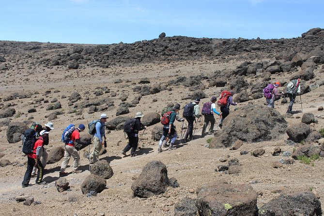 Kilimanjaro Lemosho Route 7 Days - Trek High, Sleep Low: What the Lemosho Route Is Really Doing