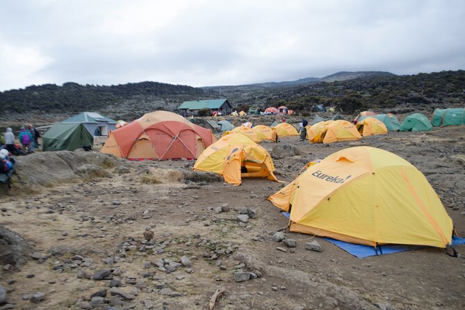 Kilimanjaro Lemosho Route 7 Days - Day 3: Alpine Desert Toward Shark’s Tooth and the Lent Dykes Area