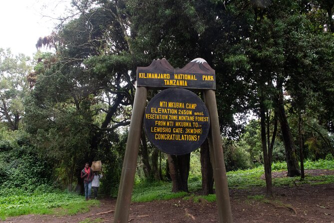 Kilimanjaro Lemosho Route 7 Days - Day 6: Midnight Summit Push, Stella Point at 5685 m, and Uhuru Peak