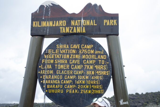 Kilimanjaro Lemosho Route 7 Days - Day 7: Steep Mweka Rain Forest Descent, Mweka Park Gates, and Summit Certificates