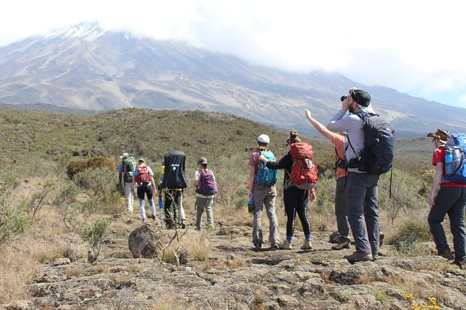 Kilimanjaro Lemosho Route 7 Days - Day by Day Kilimanjaro Lemosho: What Each Stretch Feels Like