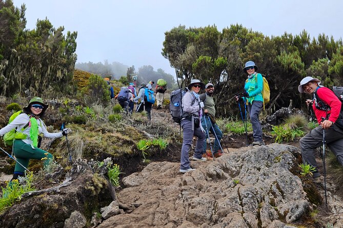 Kilimanjaro Lemosho Route 8 Days - The Lemosho idea: why high starts and low sleeping can help