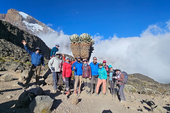 Kilimanjaro Lemosho Route 8 Days - Lava Tower and Great Barranco: where the views come with effort