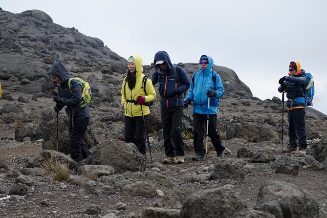 Kilimanjaro Lemosho Route 8 Days - The summit push: Stella Point, Uhuru Peak, and what makes it hard