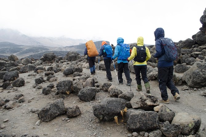 Kilimanjaro Lemosho Route 8 Days - Price and value: what $3,000 is really covering