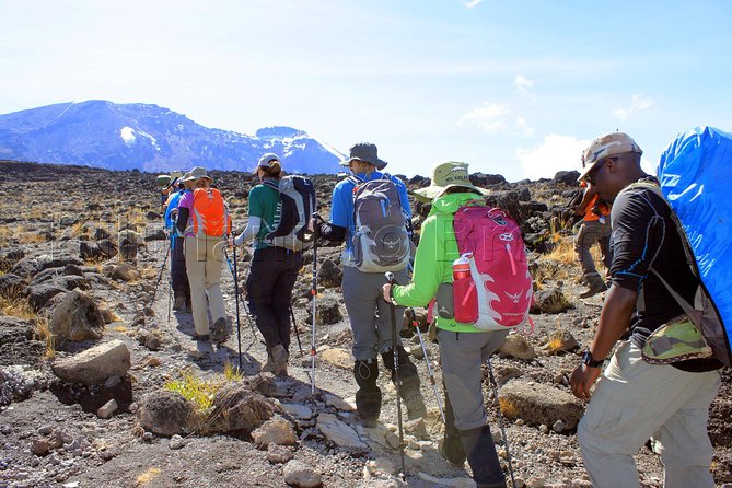 Kilimanjaro-lemosho Route 8 Days Itinerary - Days 9 and 10: rainforest descent, Mweka Gate certificates, and back to Arusha