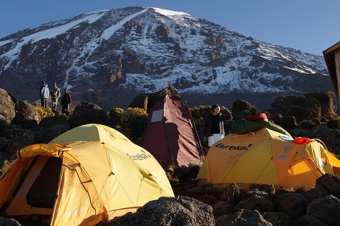 Kilimanjaro-lemosho Route 8 Days Itinerary - Days 2 to 4: from Londorossi forest trail to Shira Plateau camps