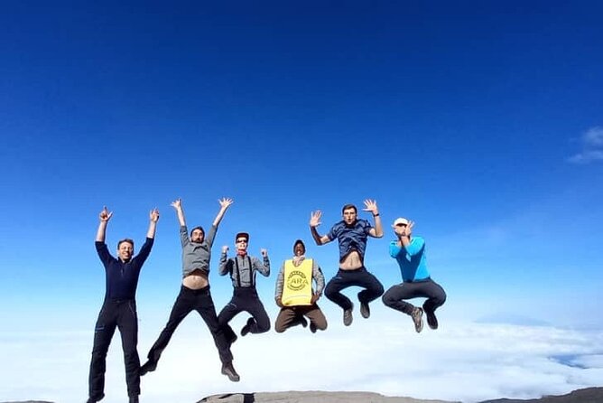 Kilimanjaro Lemosho Route - Lava Tower to Barranco: The Day Your Legs Learn to Work at 4,000 M