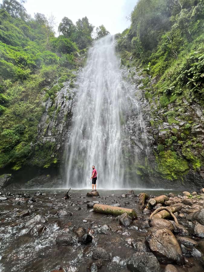 Kilimanjaro: Maasai Village Visit, Waterfalls, & Coffee Tour - Chagga lunch, optional banana beer, and coffee you grind yourself