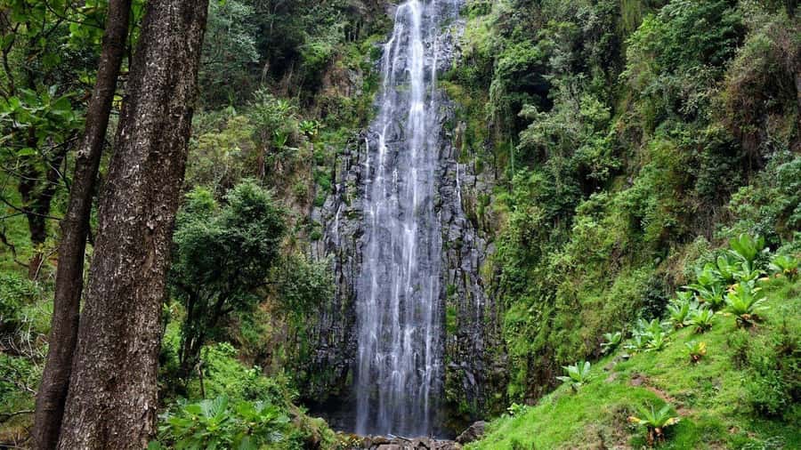Kilimanjaro: Maasai Village Visit, Waterfalls, & Coffee Tour - Price and value of $185 for a full 11-hour day