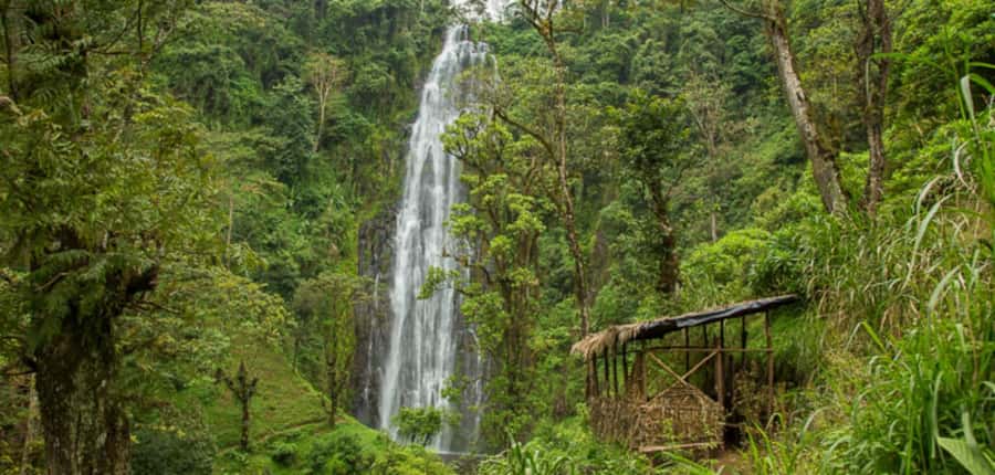 Kilimanjaro: Maasai Village Visit, Waterfalls, & Coffee Tour - Who should book this Kilimanjaro culture, coffee, and villages tour
