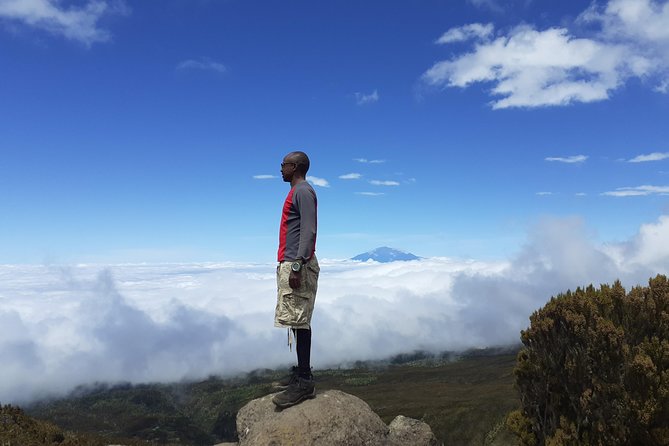KILIMANJARO MACHAME ROUTE, (Climb 7days) - Day 1: Hotel Pickup to Machame Gate, Then Into Forest Steepness
