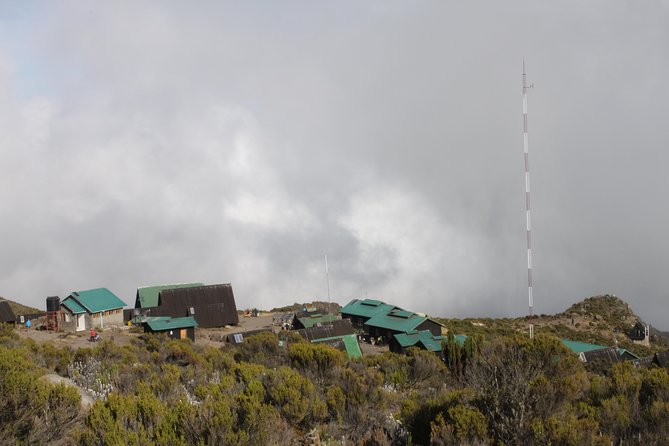 Kilimanjaro Marangu Route 6 Days - Day 1: Mandara Hut at 2,700 m Through Tropical Rainforest (5 to 6 Hours)