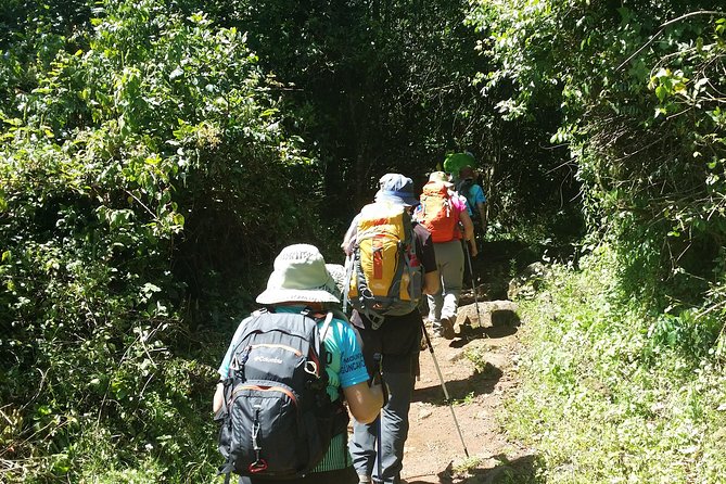 Kilimanjaro Marangu Route Day Tour - Why the Marangu Route day hike works when your time is short