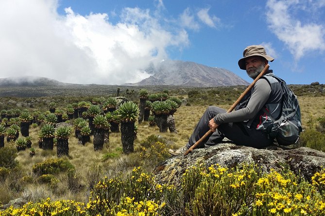 Kilimanjaro Marangu Route Day Tour - The rainforest climb from 6,000 ft to 9,000 ft
