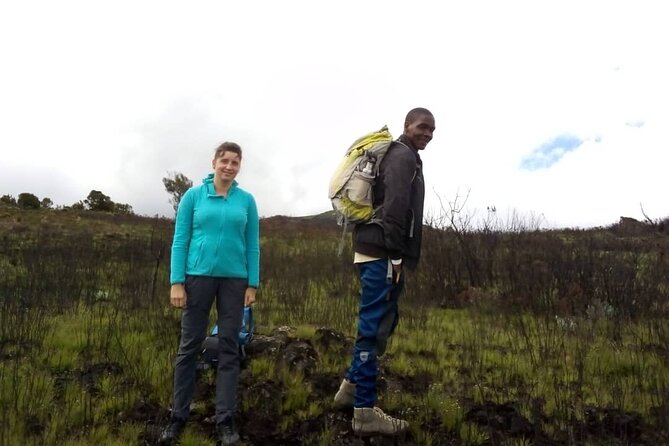 Kilimanjaro National Park Day Trip - Marangu Route, Mandara Hut, and why this is a smart day plan