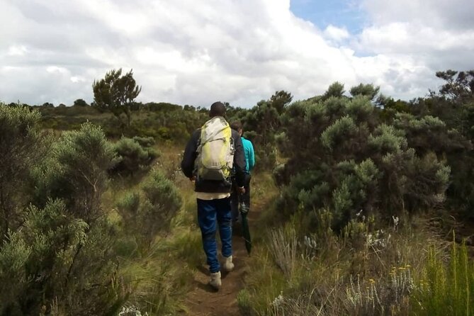 Kilimanjaro National Park Day Trip - Maundi Crater side trip: a shortcut to big-picture views