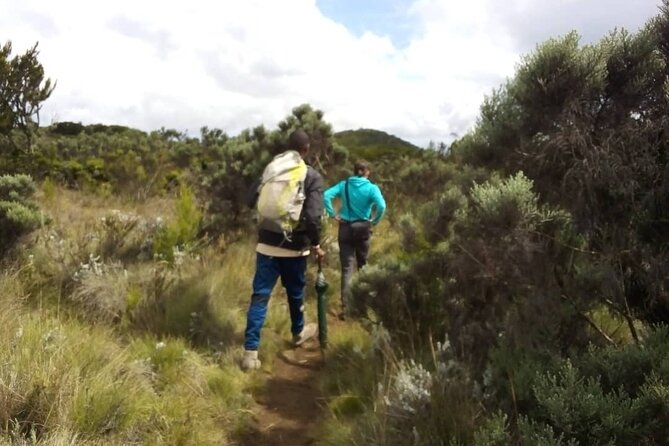 Kilimanjaro National Park Day Trip - Lunch at the Mandara area: fuel stops that actually matter