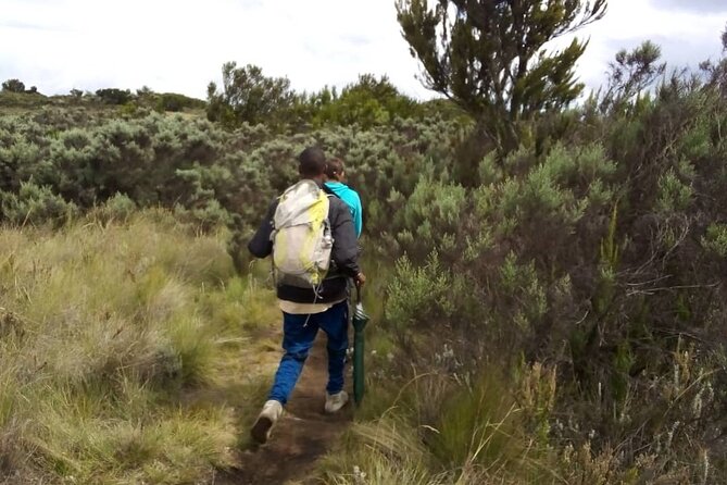 Kilimanjaro National Park Day Trip - The descent back to the gate, then off the mountain