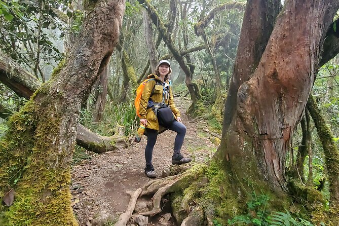 Kilimanjaro Northern Circuit Route 8 Days - Key points I’d plan around