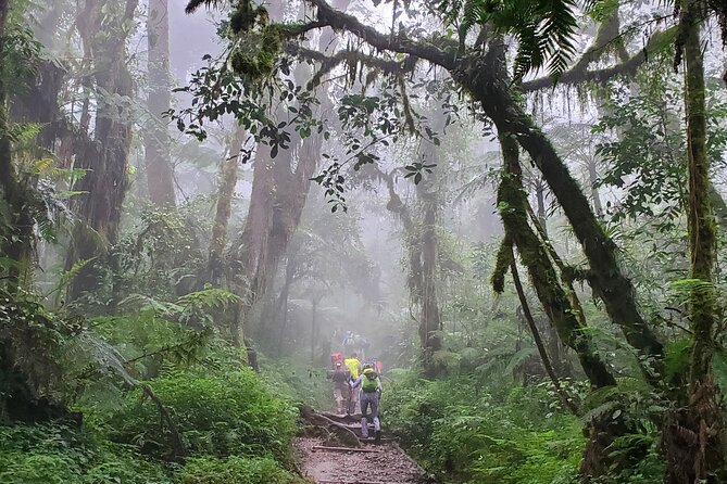 Kilimanjaro Northern Circuit Route 8 Days - Day 4 around Kibo’s northern face, expect ups and downs