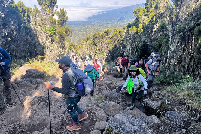 Kilimanjaro Northern Circuit Route 8 Days - Day 5 to Third Cave Camp: the northern slopes finally feel yours