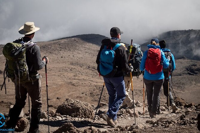 Kilimanjaro Private 2 Days Hiking Tour - Timing, weather, and the simple way to make the trip smoother