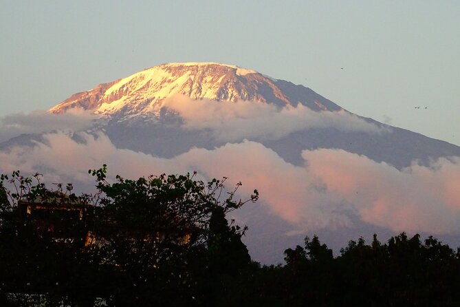 Kilimanjaro Shira Plateau E-Bike Day Trip - What you should bring, and the fitness reality check