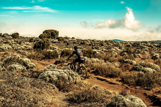 Kilimanjaro Shira Plateau E-Bike Day Trip - Should you book this Shira Plateau day trip?