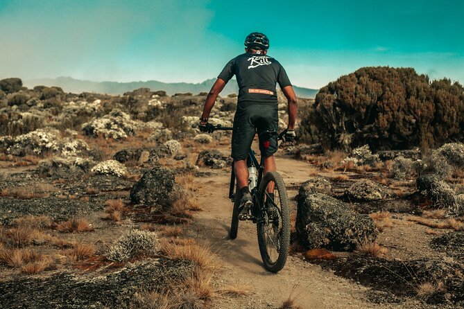 Kilimanjaro Shira Plateau E-Bike Day Trip - Moorland zone and the two-view horizon