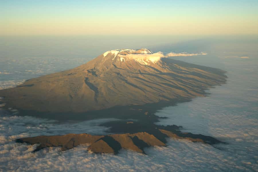 Kilimanjaro: Shira plateau to Cathedral point 3872m Day hike - The forest section: animals, birdlife, and why it sets your expectations